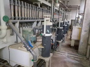 龍崗區報廢資產設備回收 倒閉廠整體收購、閑置物資競價回收與深圳舊貨市場全景